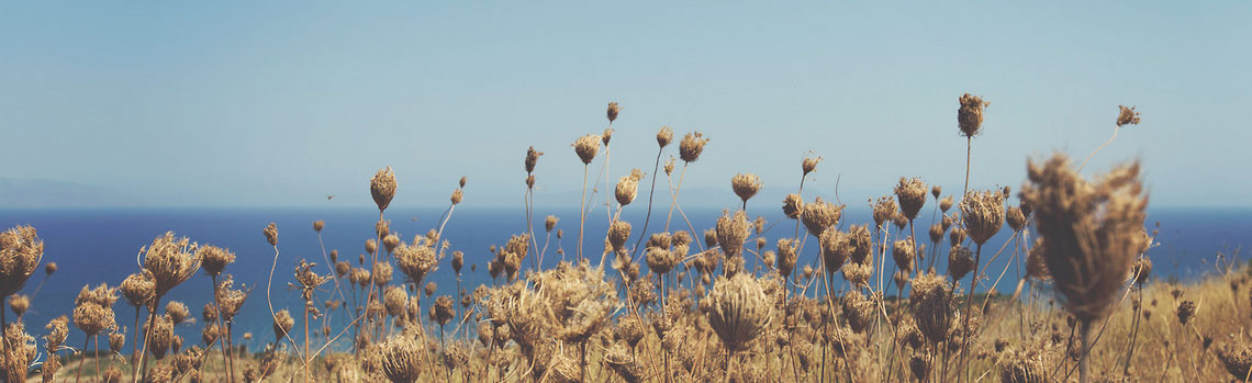 电话轰在线轰炸免费软件